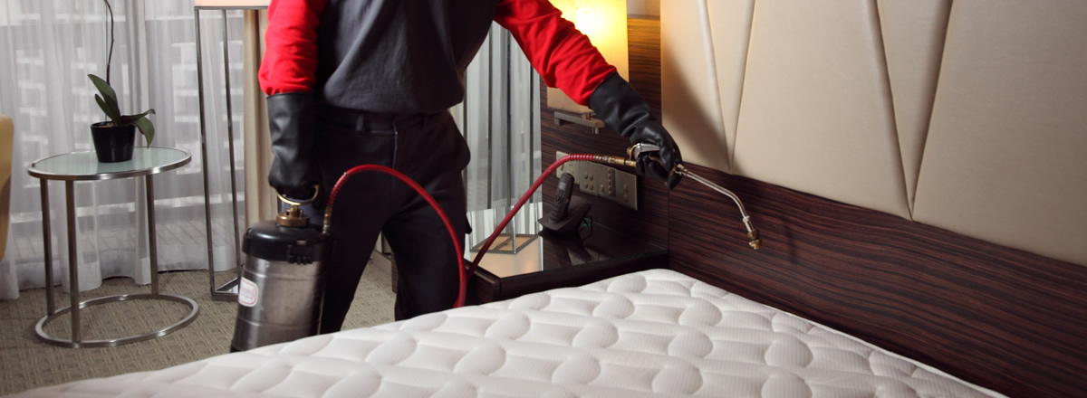 Are the chemicals used by exterminators safe? The Safe Solution for Cockroach Problems.