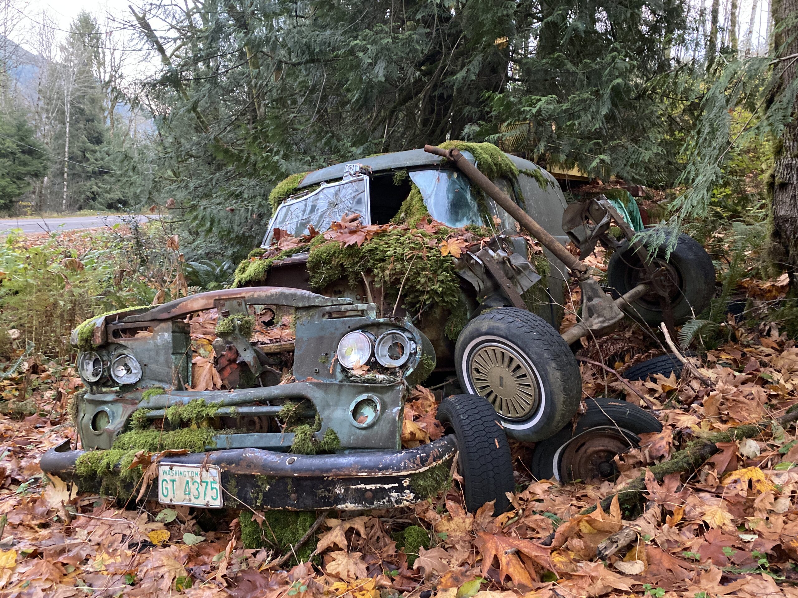 Maximize Your Home's Potential: Removing Junk Tips for Charlotte Homeowners