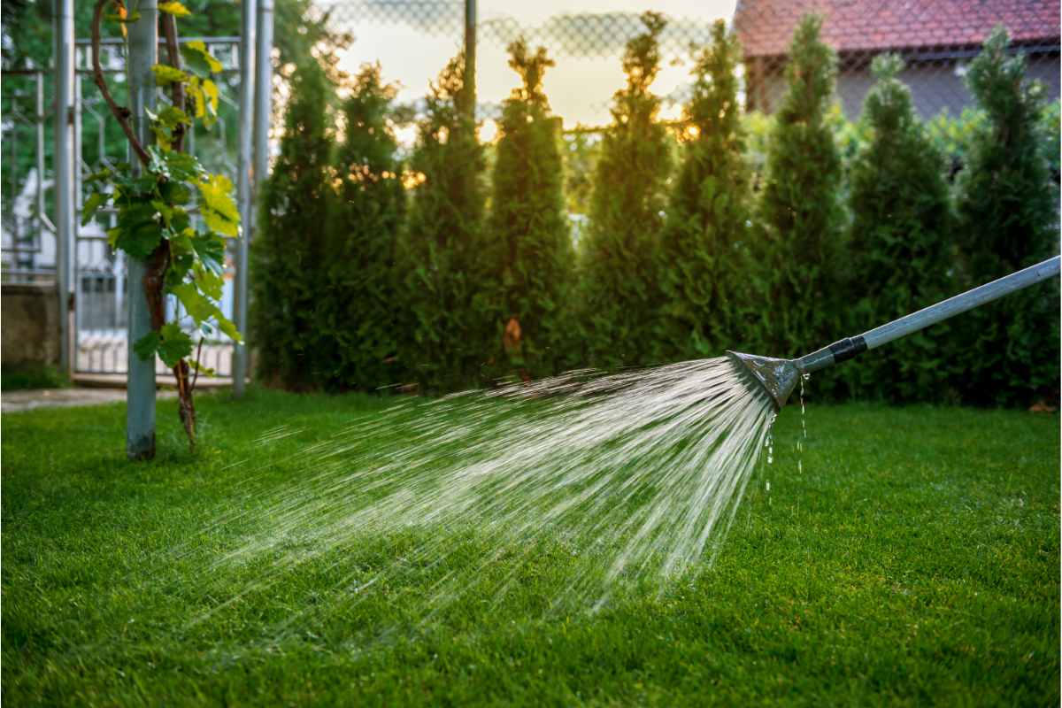 Great Mowing: Learning Lawn Maintenance for an Ideal Garden