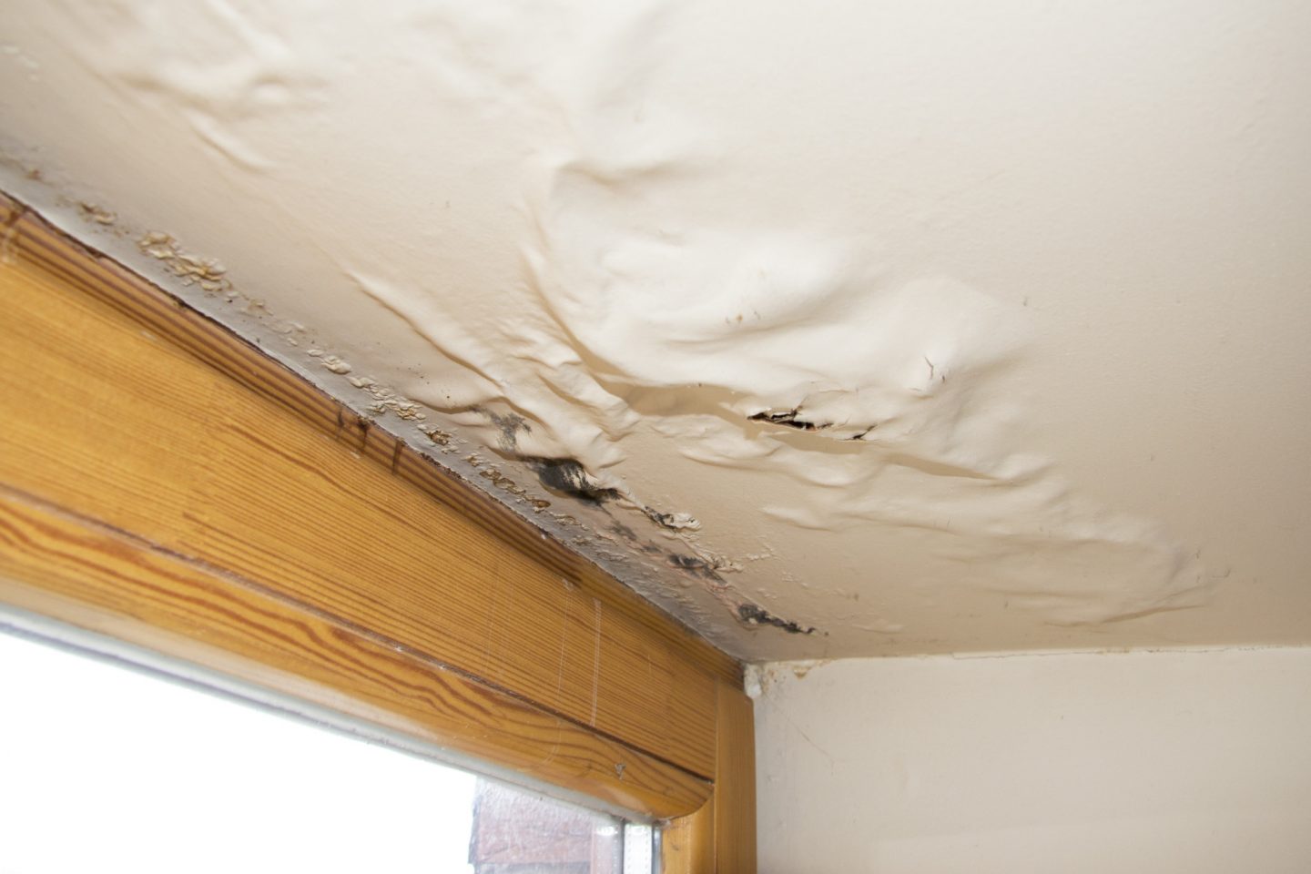 Protect Your Property After A Flood With Water Damage Restoration Service